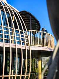 宜興神仙酒店！懸崖房+寵物友好！住到不想走