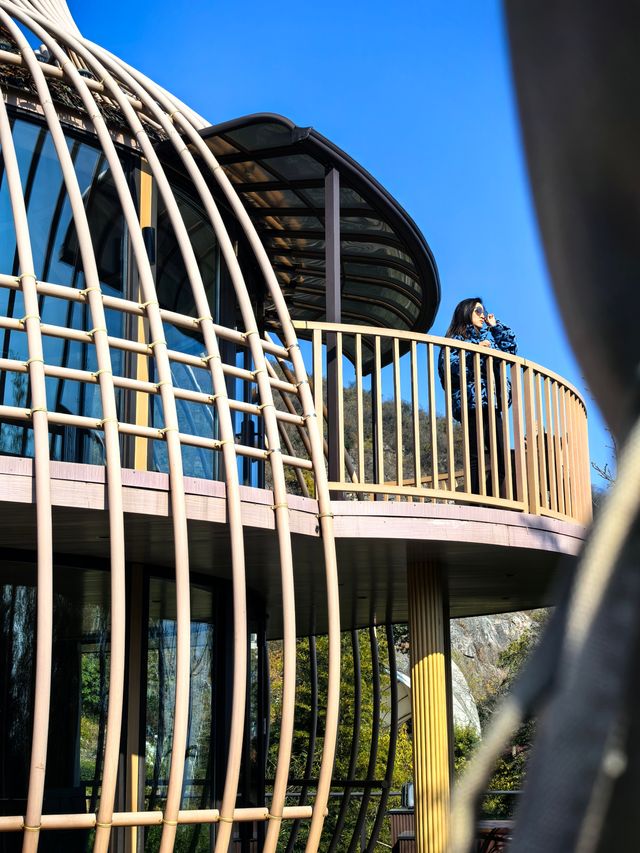 宜興神仙酒店！懸崖房+寵物友好！住到不想走