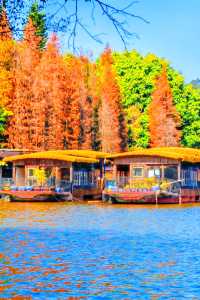 廣州周邊2h逃離城市，闖入秋日浪漫