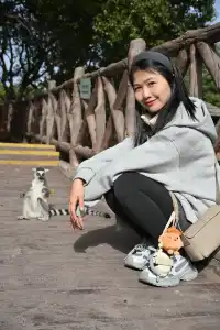 30歲不薅羊毛，更待何時！