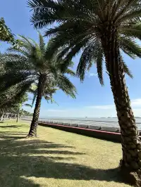 珠海一日遊攻略|Citywalk+海鮮大餐