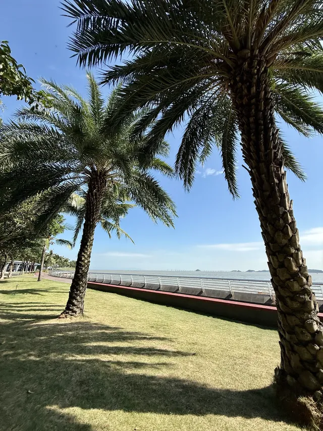 珠海一日遊攻略|Citywalk+海鮮大餐 珠海一日遊攻略|Citywalk+海鮮大餐