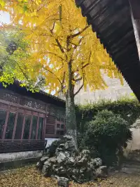 看我用手機記錄鹽官最濃的秋色附機位版