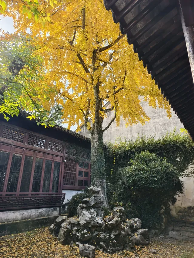 看我用手機記錄鹽官最濃的秋色附機位版 看我用手機記錄鹽官最濃的秋色附機位版