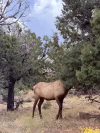 三個女生的美西自駕遊Day8-下篇