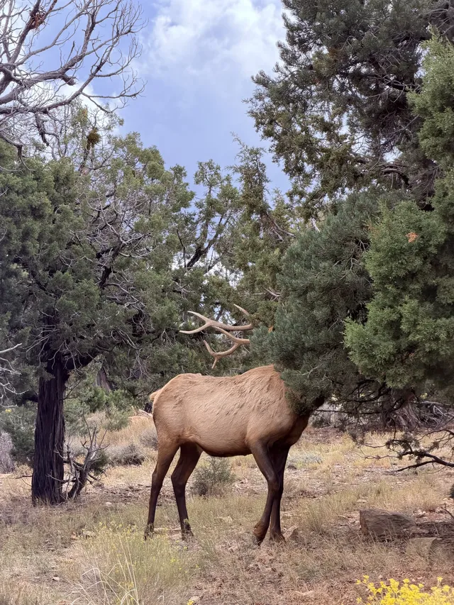 三個女生的美西自駕遊Day8-下篇 三個女生的美西自駕遊Day8-下篇