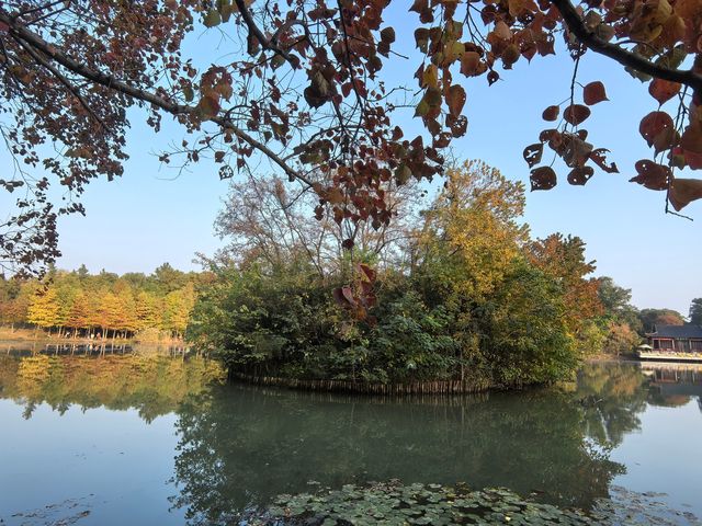 南京綠博園秋日限定藏在城市的絕美秘境 南京綠博園秋日限定藏在城市的絕美秘境