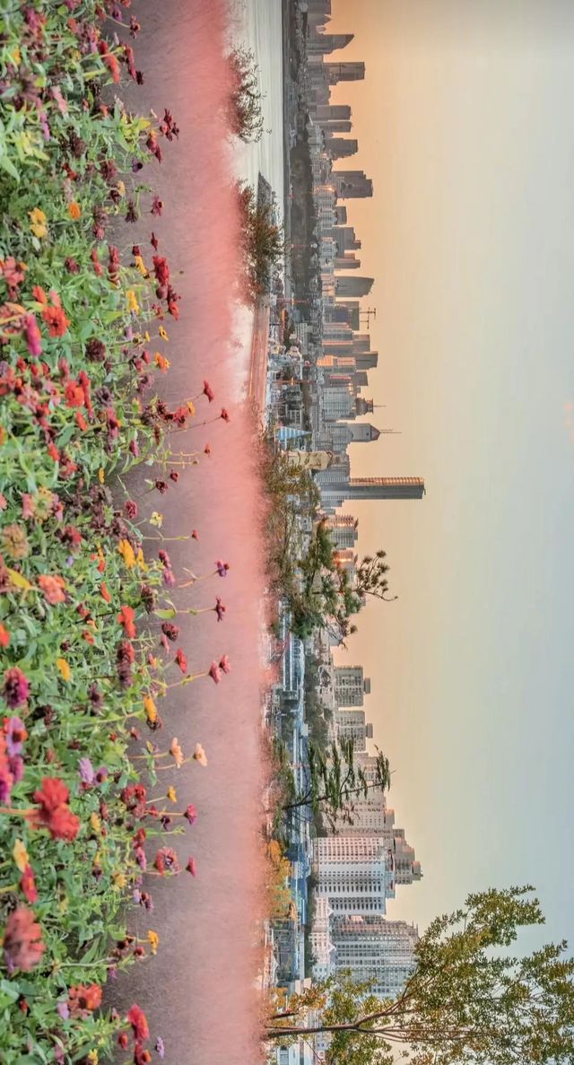 青島熱門的濱海休閒之地——小麥島公園