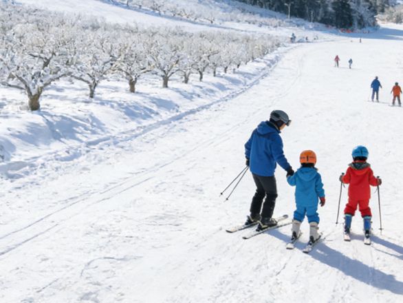 Tahe Ice & Snow Park: China’s Northernmost Winter Wonder – -30℃ Thrills + Oroqen Culture!