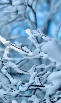 冰雪奇緣龍王山徒步踏, 雪賞霧淞