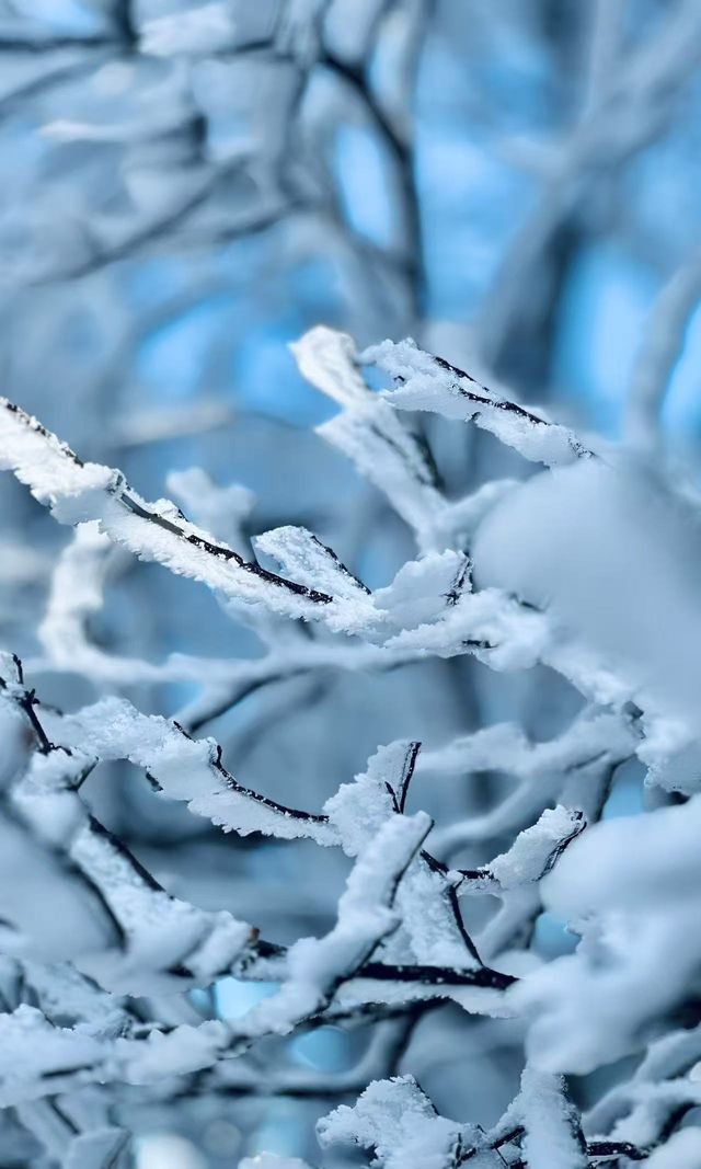 冰雪奇緣龍王山徒步踏, 雪賞霧淞 冰雪奇緣龍王山徒步踏, 雪賞霧淞