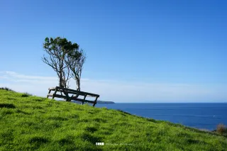 奧克蘭秘境｜Shakespear公園徒步&拍照攻略