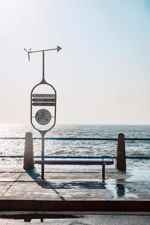 青島冬日看海記|孤獨又浪漫的海岸線漫步 青島冬日看海記|孤獨又浪漫的海岸線漫步