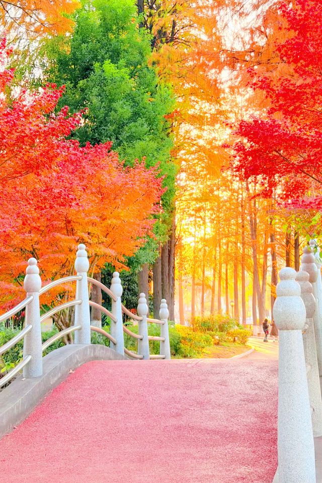 武漢秋天美炸了元旦跨年瘋玩攻略,錯過等一年 武漢秋天美炸了元旦跨年瘋玩攻略,錯過等一年