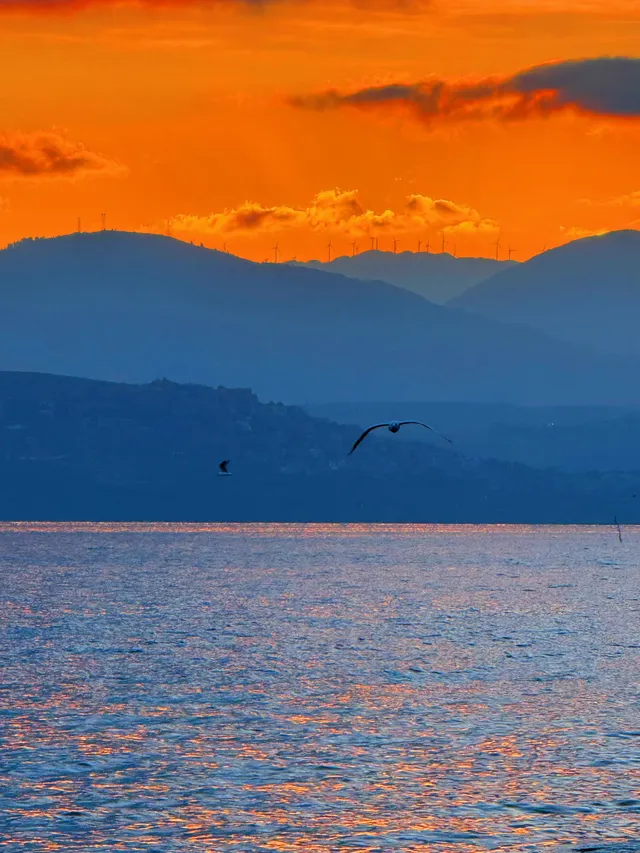 18圖告訴你,現在的大理水杉季究竟有多美…… 18圖告訴你,現在的大理水杉季究竟有多美……