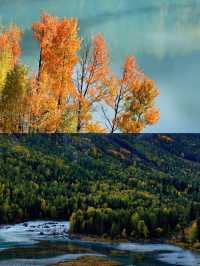 探秘新疆喀納斯，遇見最美的秋色