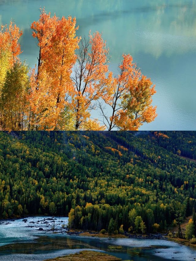 探秘新疆喀納斯，遇見最美的秋色