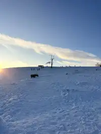白哈巴絕美打卡機位合集（附地址…