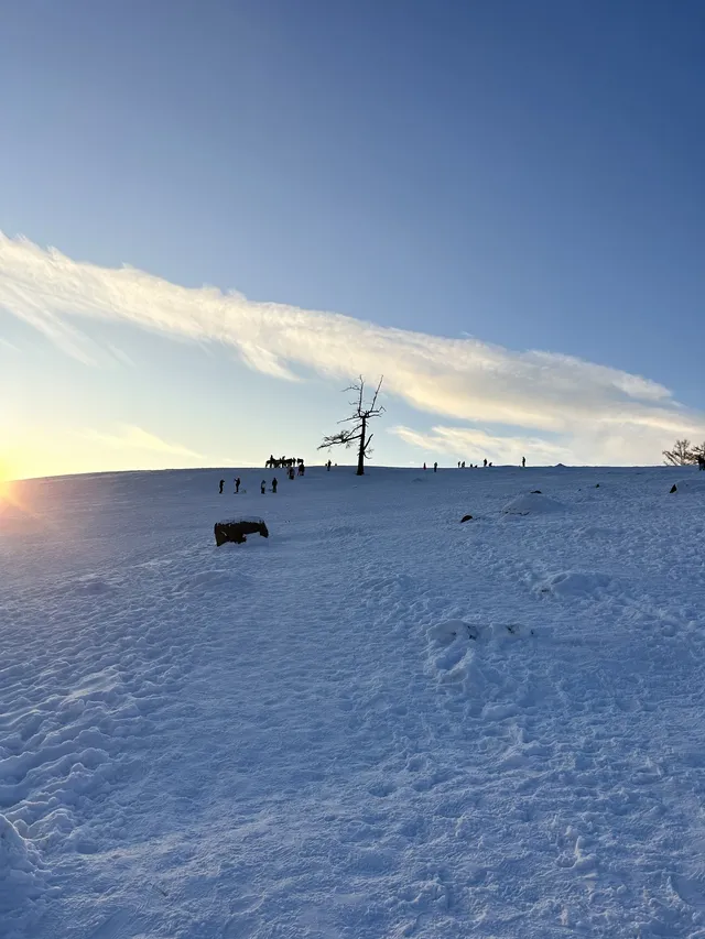 白哈巴絕美打卡機位合集（附地址…
