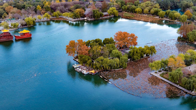 秋天帶小孩去濟南等地超合適