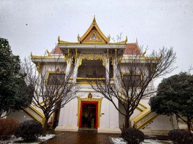 冬日限定版龍門石窟|白雪皚皚下的千年佛國仙境 冬日限定版龍門石窟|白雪皚皚下的千年佛國仙境