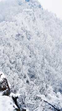 北京初雪刷屏南京紫金山霧淞已在路上!東北平替絕美暴擊