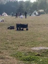 這風景好美,真的好想讓所有人🫘看到