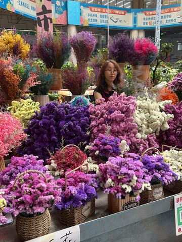 中国で最もお得な花の楽園 — 斗南花卉市場。 | Trip.com 昆明