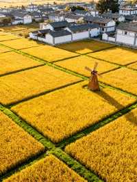 6月大理｜蒼山遠足秘境，避開人潮的清涼夏日