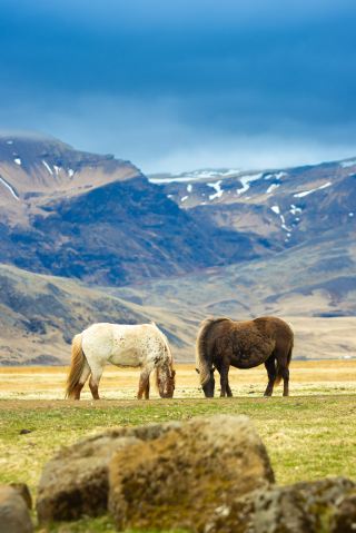 You have to visit Iceland at least once to see the earth in its most pristine form