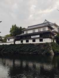7天玩轉日本保姆級攻略直接抄作業