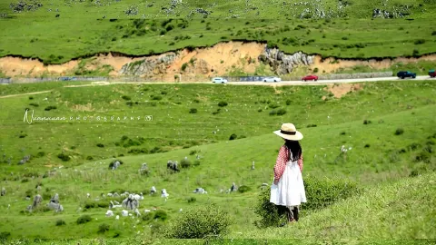 貴州版“阿勒泰”!畢節百草坪 — traveler post in 畢節