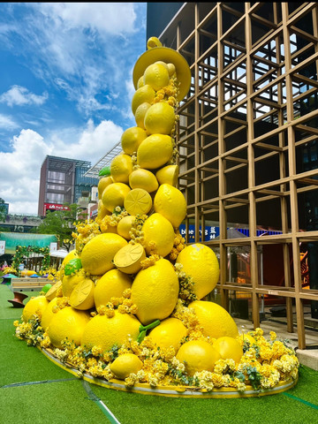 Surrounded by lemons! The freshest summer check-in spot in