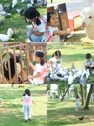 National Day Wild Getaway | A Beautiful Guide to the Animal World