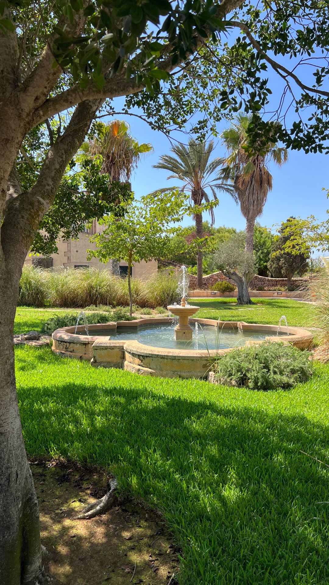 A Relaxing Stay in a Well-Maintained Oasis