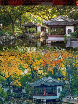 上海秋日紅楓最佳時期終於來了,直接殺瘋整條街
