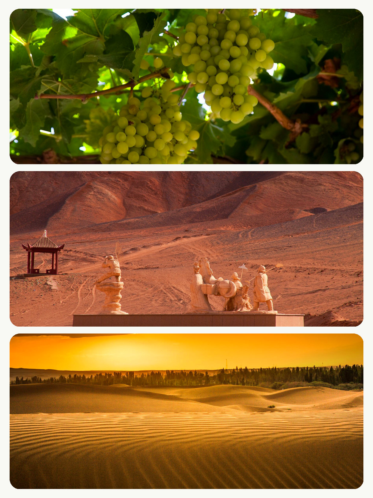 Traveling with parents during the National Day holiday—a slow pace is truly relaxing