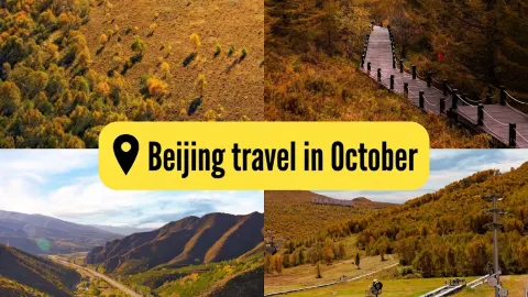 Chongli in the coming season is a golden poem of autumn—Xique Liang is the opening, Huapi Ridge is the climax — traveler post in Zhangbei