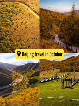 Chongli in the coming season is a golden poem of autumn—Xique Liang is the opening, Huapi Ridge is the climax