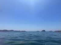 綠蛋𡷊kayak