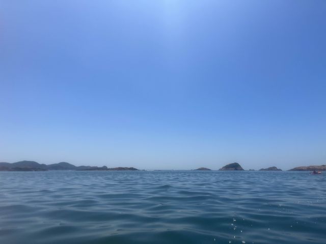 綠蛋𡷊kayak