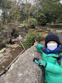 親子遊必去！ #伊豆仙人掌動物園