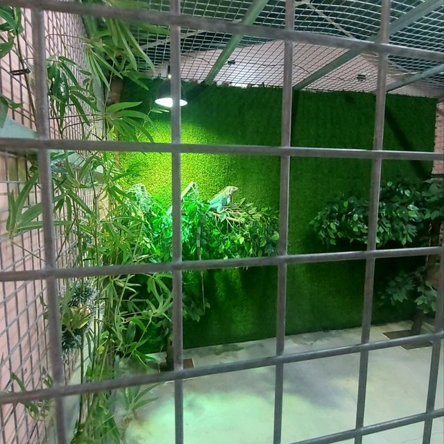 小白兔農莊