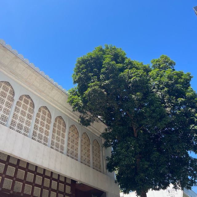 九龍公園 尖沙咀難得綠化空間