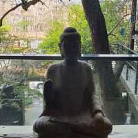 大隱隱於市，藏於民宅的藝術禪寺。