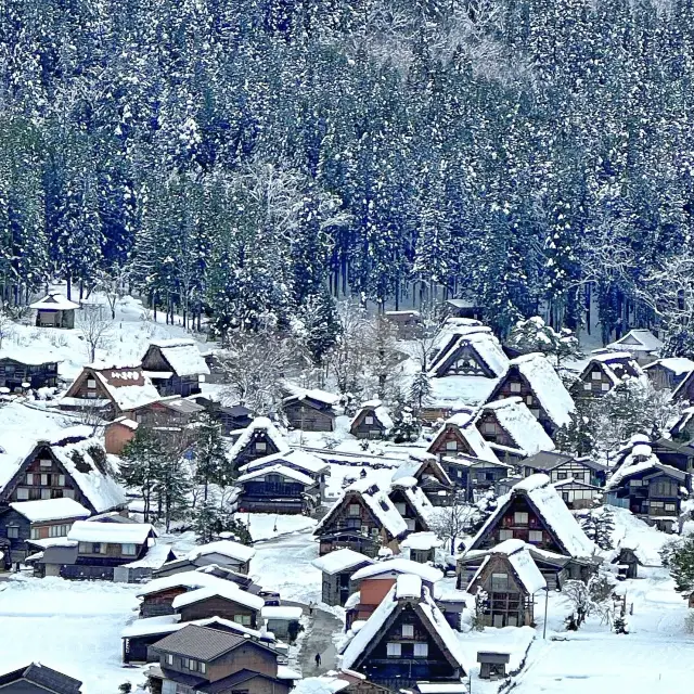 Breathtaking views of SHIRAKAGAWA-GO! 