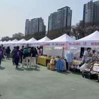 산책하며 즐기는 서울 벚꽃축제, 중랑천 벚꽃길❤️