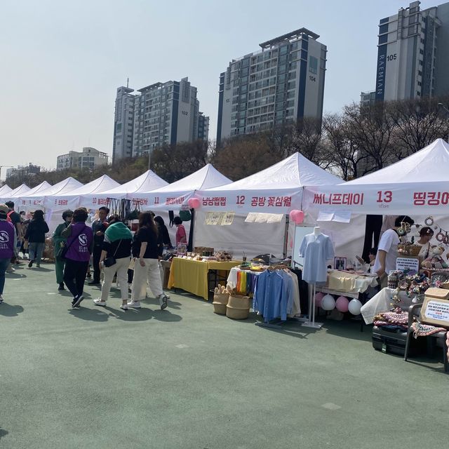 산책하며 즐기는 서울 벚꽃축제, 중랑천 벚꽃길❤️
