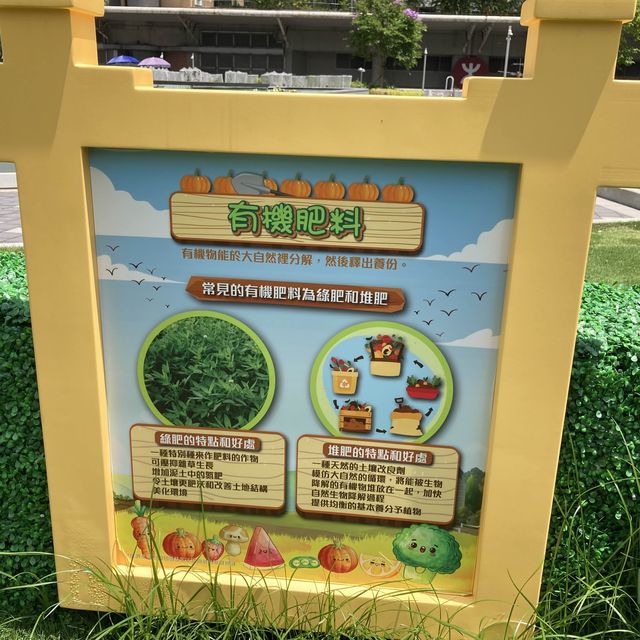 《青衣城戶外「綠化」升級 🌳，設三大互動環保打卡位📸】