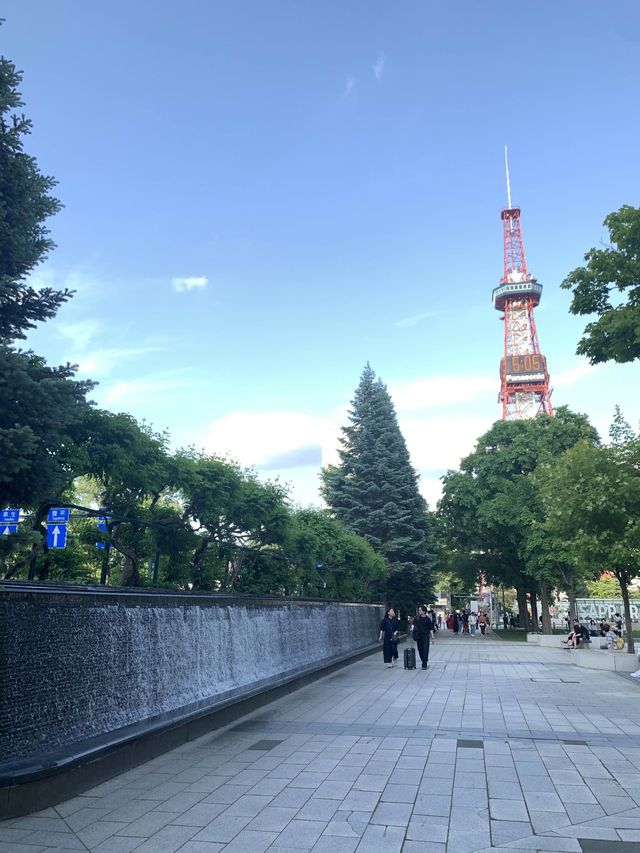 札幌　札幌観光　初夏の札幌大通公園に行ってみた2023年